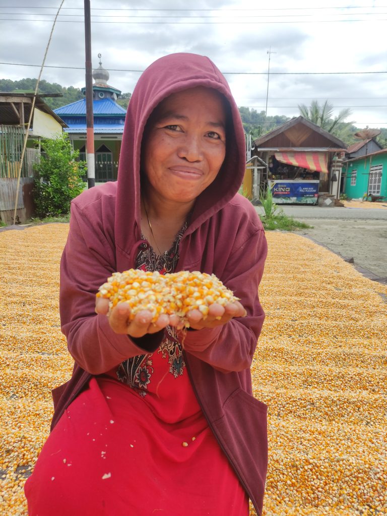 Rosnawati seorang petani jagung