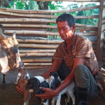 Program ADRA Indonesia