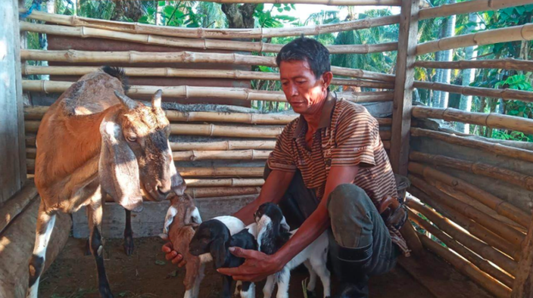 Program ADRA Indonesia